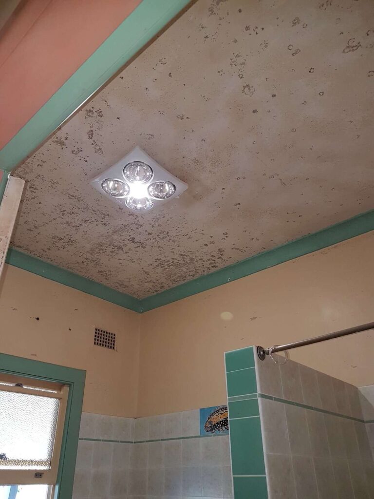 mouldy ceiling painting